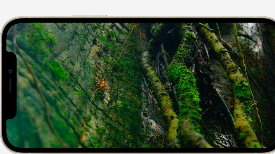 Nuevo iPhone 12 llegará a México a partir del 23 de octubre y tendrá un costo desde los 19,999 pesos.