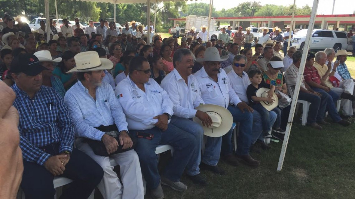 Llevan a cabo programa de mejoramiento genético en Altamira