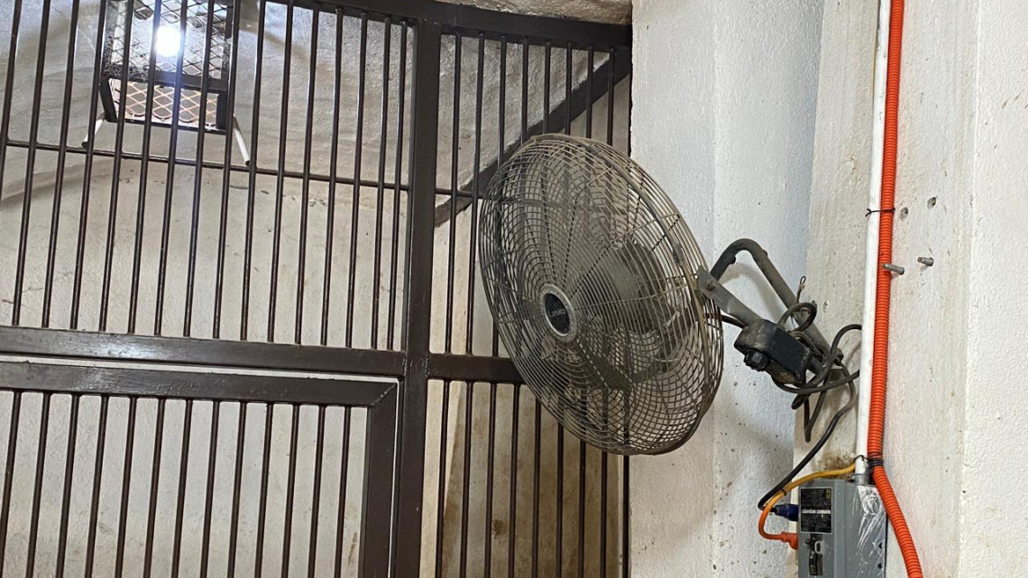 Listo el Zoológico en Nuevo Laredo para altas temperaturas