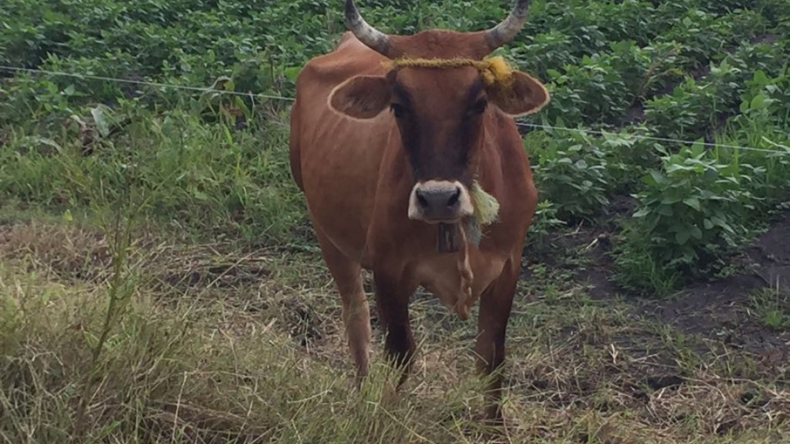 Campo externa preocupación por contaminación