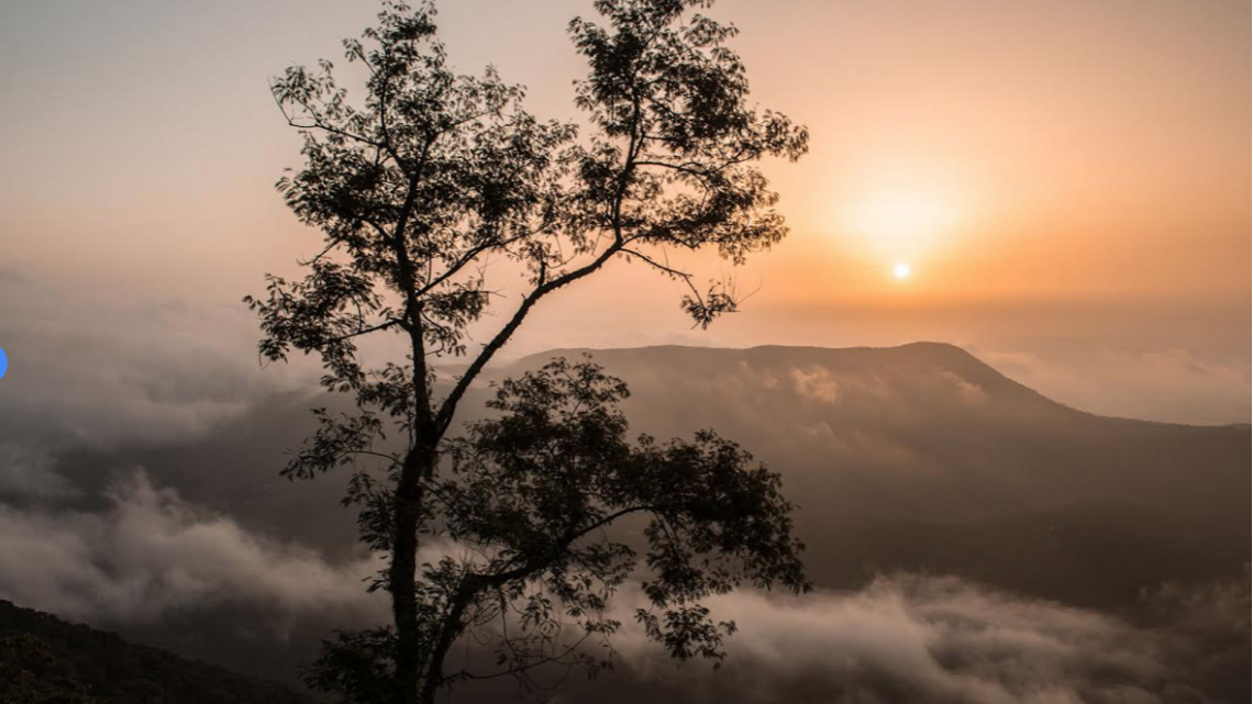 Tamaulipas presenta su oferta turística en Colombia