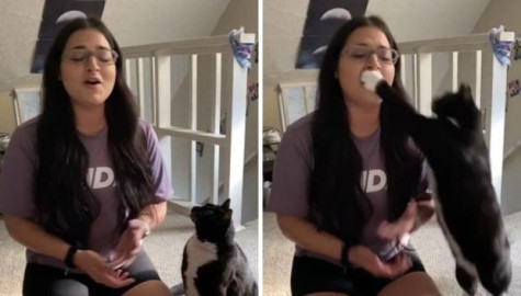 La divertida reacción de un gato al escuchar a su dueña cantar