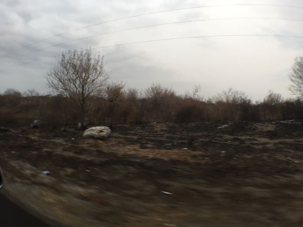 Incendios constantes movilizan al cuerpo de bomberos y unidades de emergencia