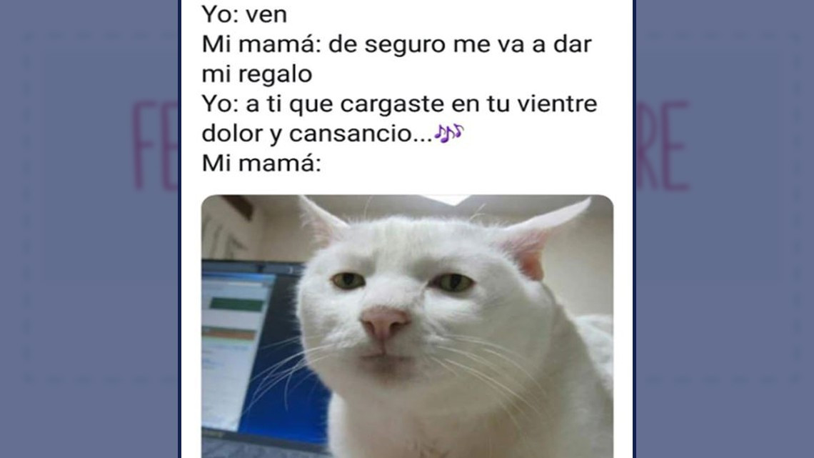 Los memes del día de las madres