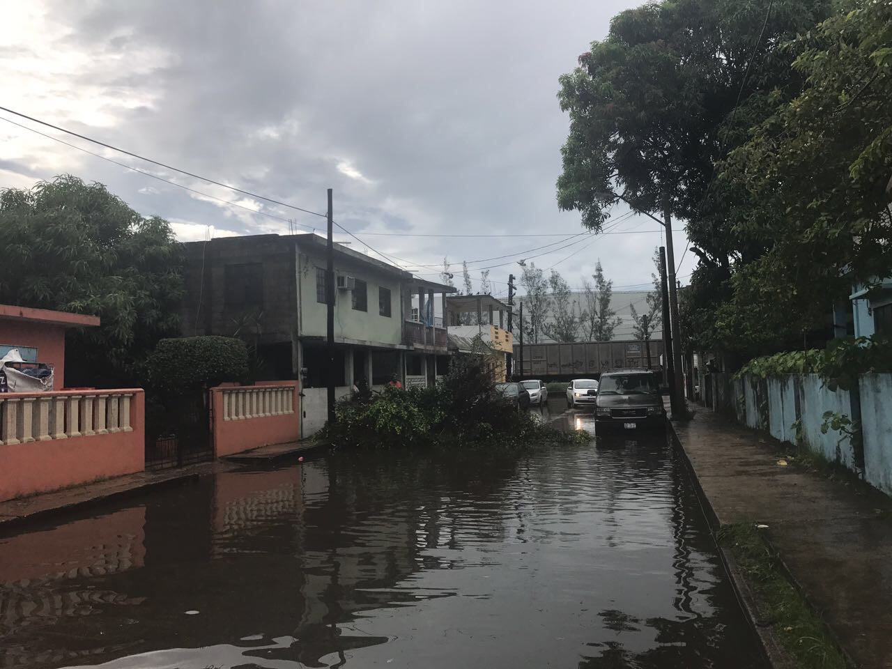 Vientos de huracán Katia derrumban árboles y dejan sin luz a colonias