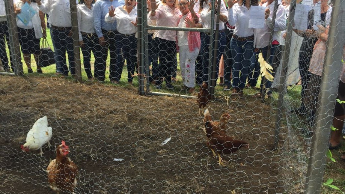 ⁠⁠⁠Entregan equipos para la creación de huertos