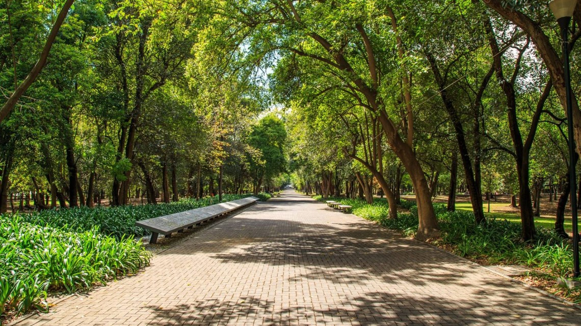 El mejor parque del mundo está en México, conócelo aquí