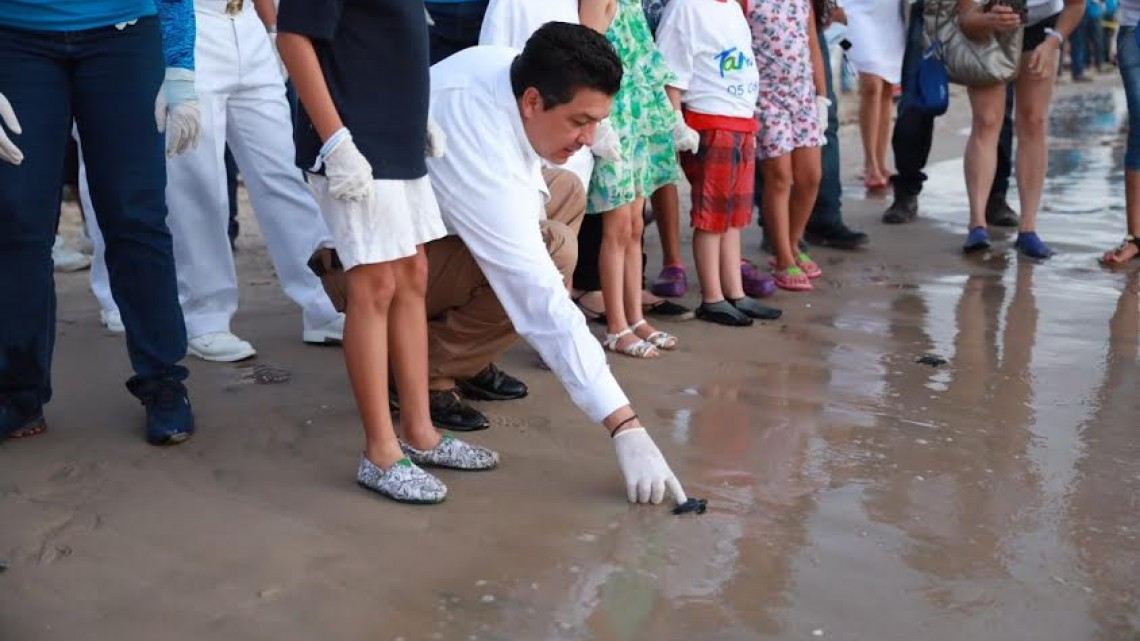 Crías de tortugas lora son liberadas en Soto la Marina