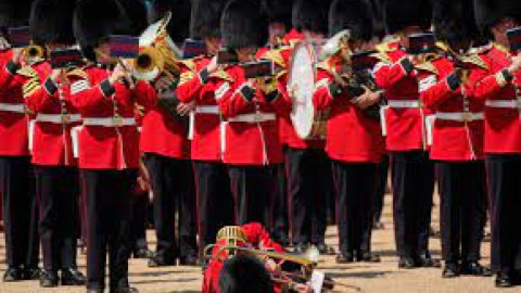 Guardias londinenses se desmayan bajo el sol abrasador