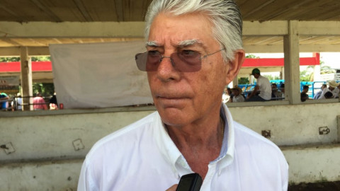 Analizan pago de incentivos a producción de oleaginosas