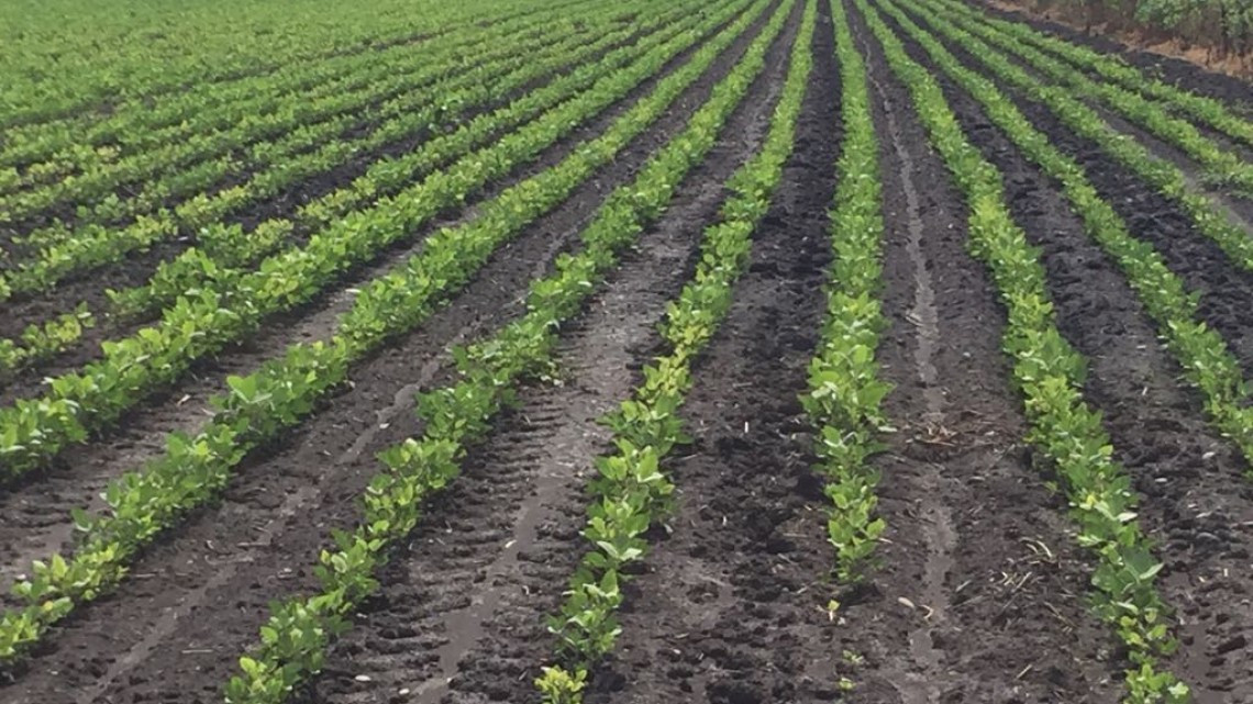 Productores piden apoyos para mejorar su actividad