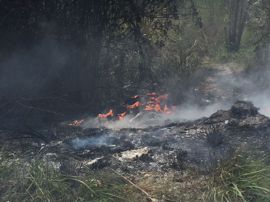 Incendio de Zacatales, aumentan por temporada de calor