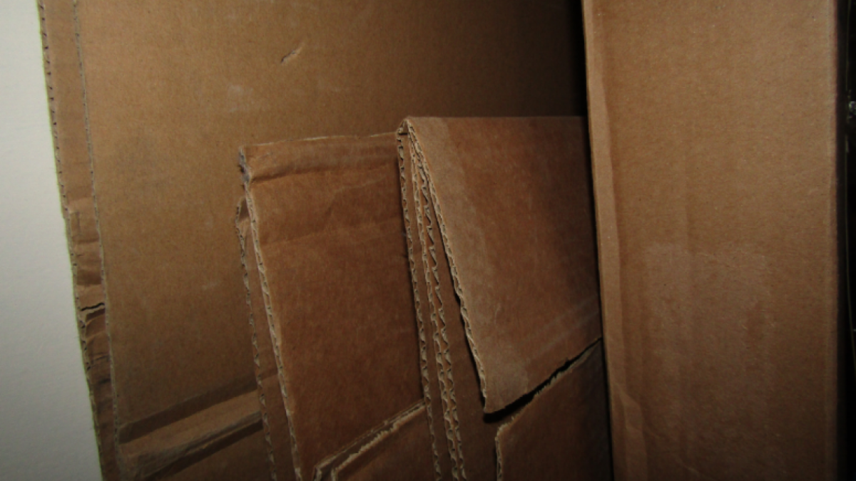 Gobierno de Tamaulipas impulsa el desarrollo sostenible