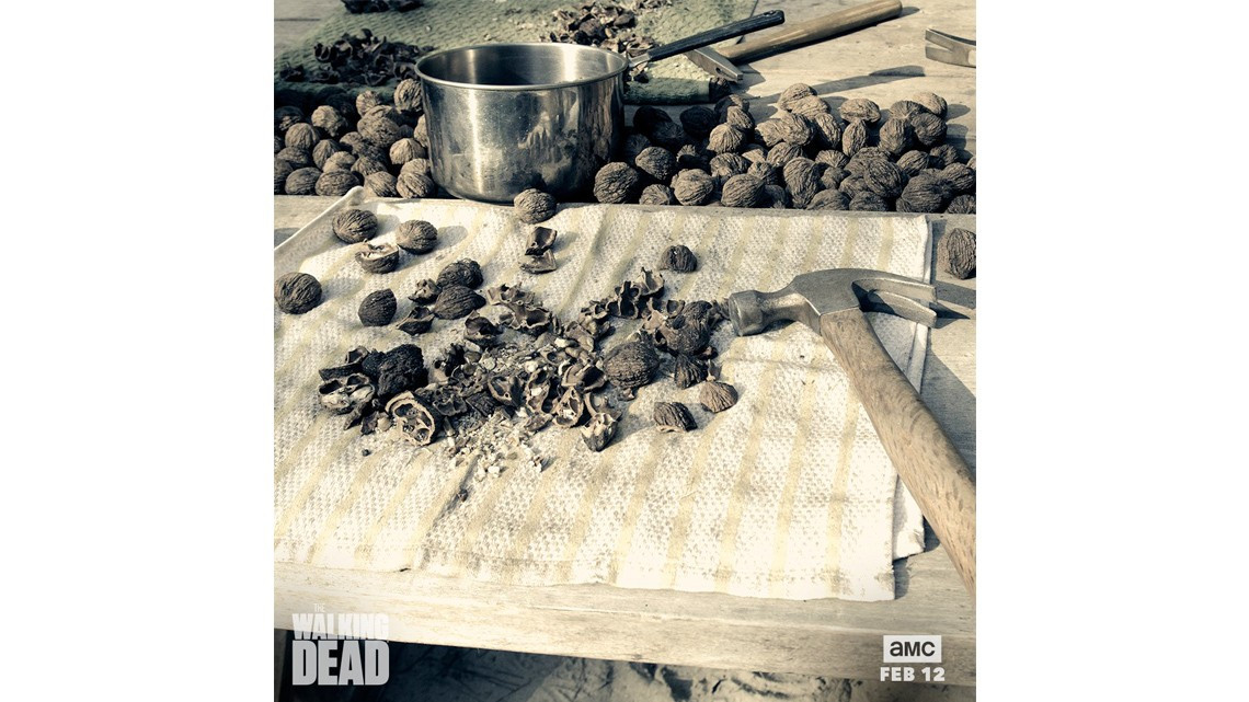 Primeras imágenes del regreso de TWD