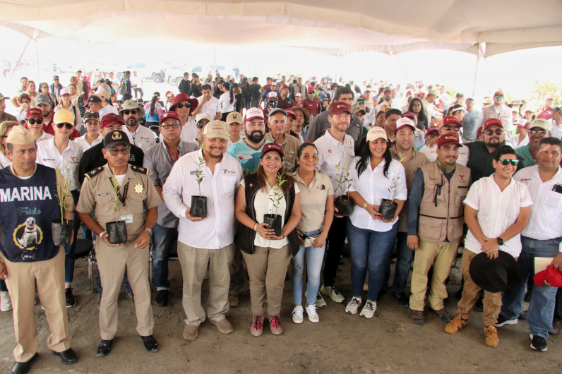 Refuerza SEDUMA reforestación de mangle en costas tamaulipecas