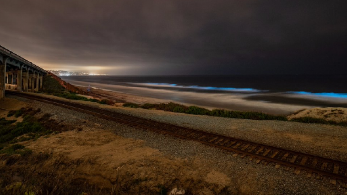 Las playas de San Diego se visten de azul-neón