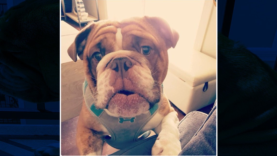 "Big Poppa" conmueve las redes sociales por mostrarse triste ante el Covid-19