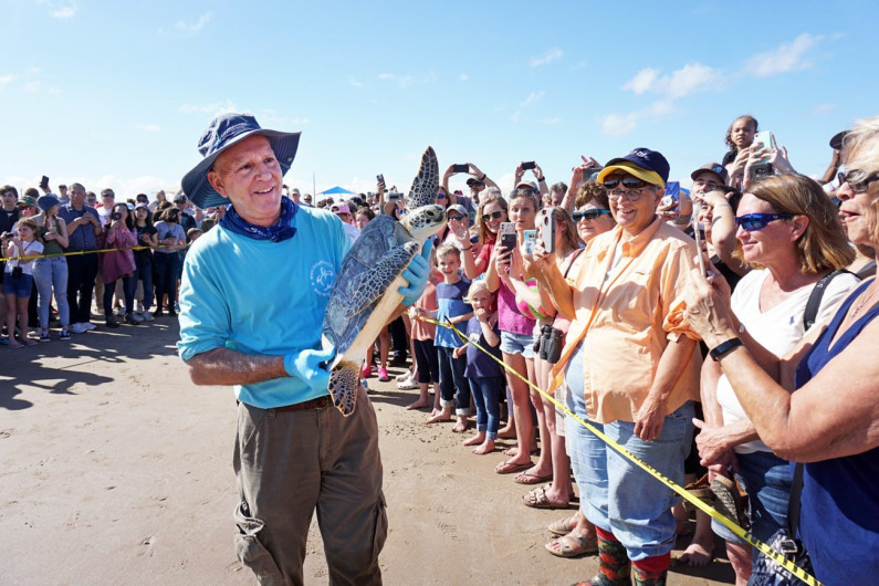 Liberan tortugas en la Isla del Padre