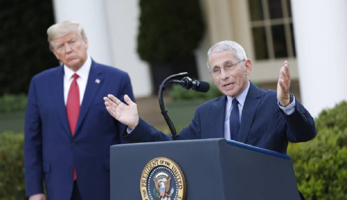 Trump contradice a Fauci sobre el incremento de casos de covid-19 en Estados Unidos 