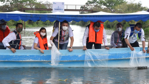 Siembran 30 Mil Alevines en el Sistema Lagunario de Tampico