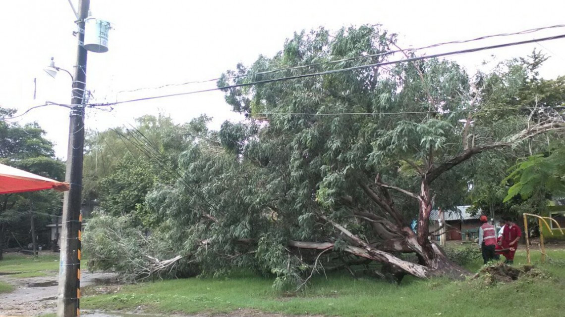 Vientos de huracán Katia derrumban árboles y dejan sin luz a colonias
