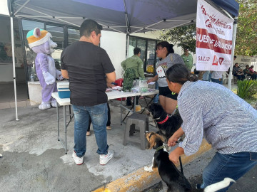 Previenen rabia en mascotas con vacunas