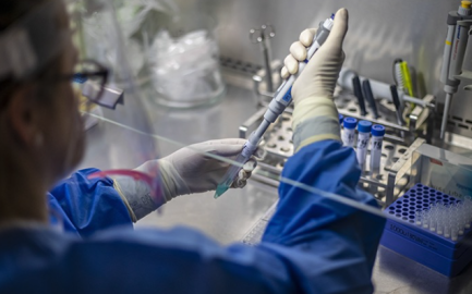 Advierte la OMS repunte de casos de COVID-19 al sur de África