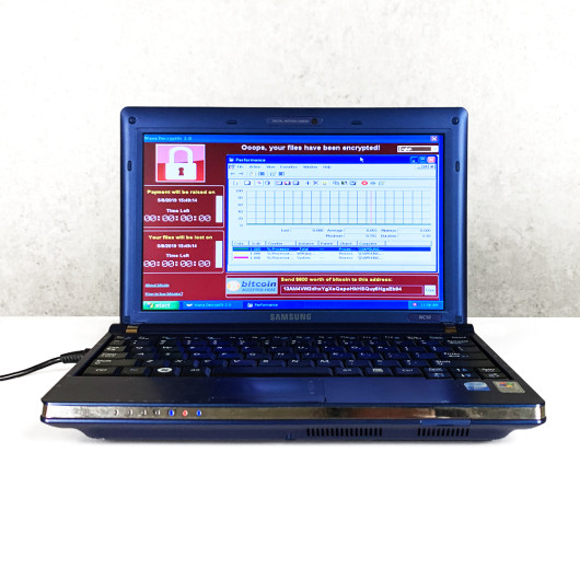 Subastan netbook con los virus más peligrosos del mundo por 1 millón de dólares