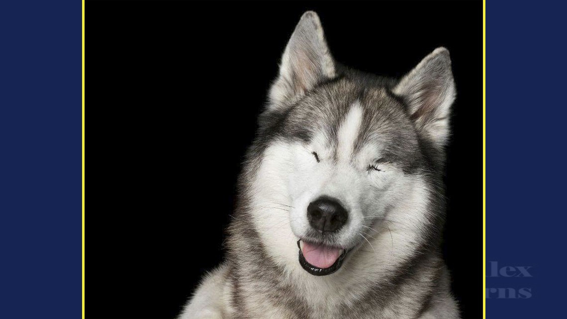 La perfección de los imperfectos