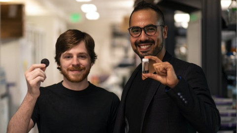 Descubren hongos en Chernóbil que “comen” radiación