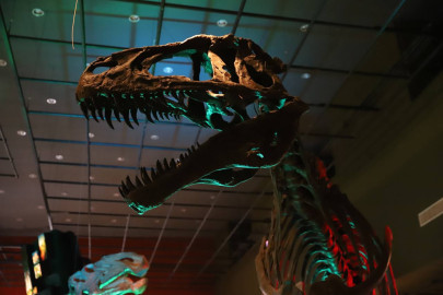 Eventos de fin de semana en Nuevo Laredo 