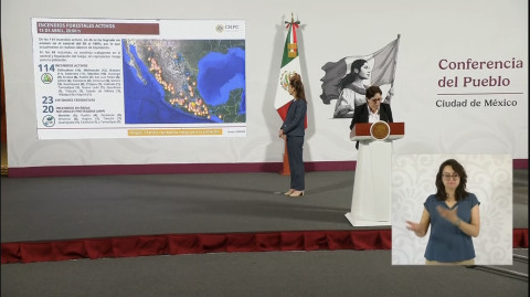 Hay 114 incendios forestales activos en México: Protección Civil