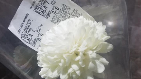 Fallece un día antes del estreno y amigos acuden con una rosa blanca en su lugar