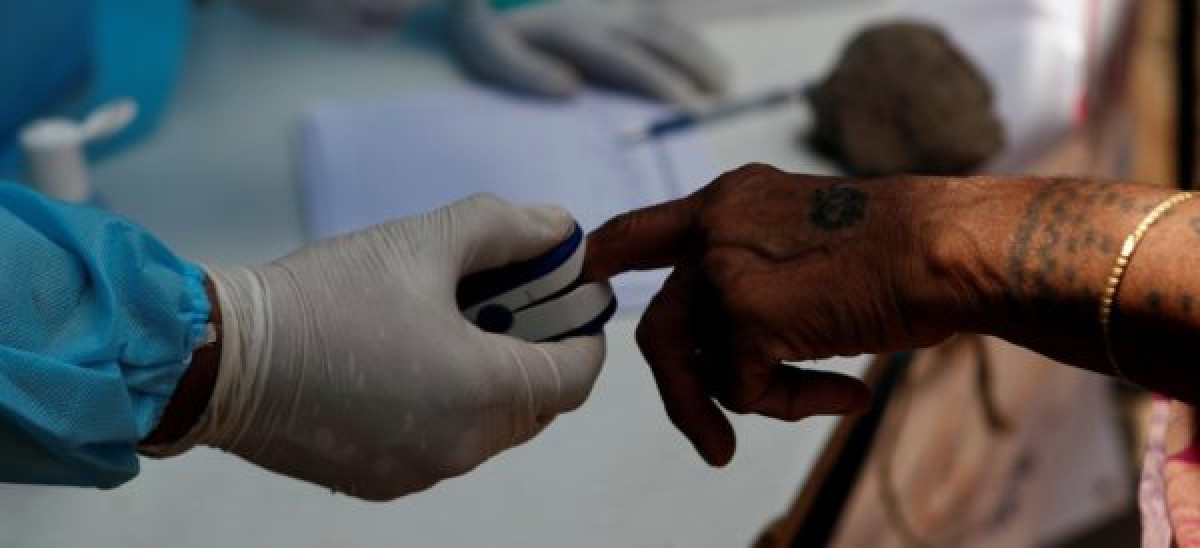 Monos roban pruebas positivas de COVID-19 en India