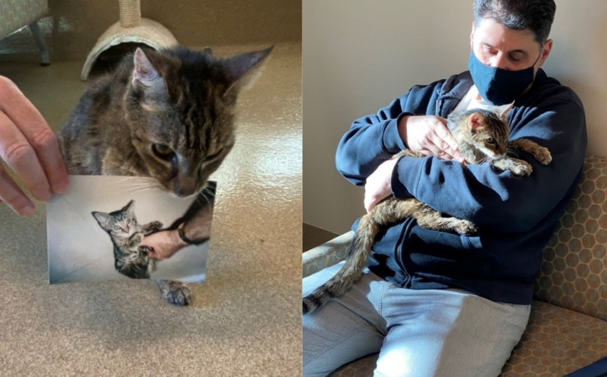 Tras 15 años desaparecida, gatita vuelve con su dueño