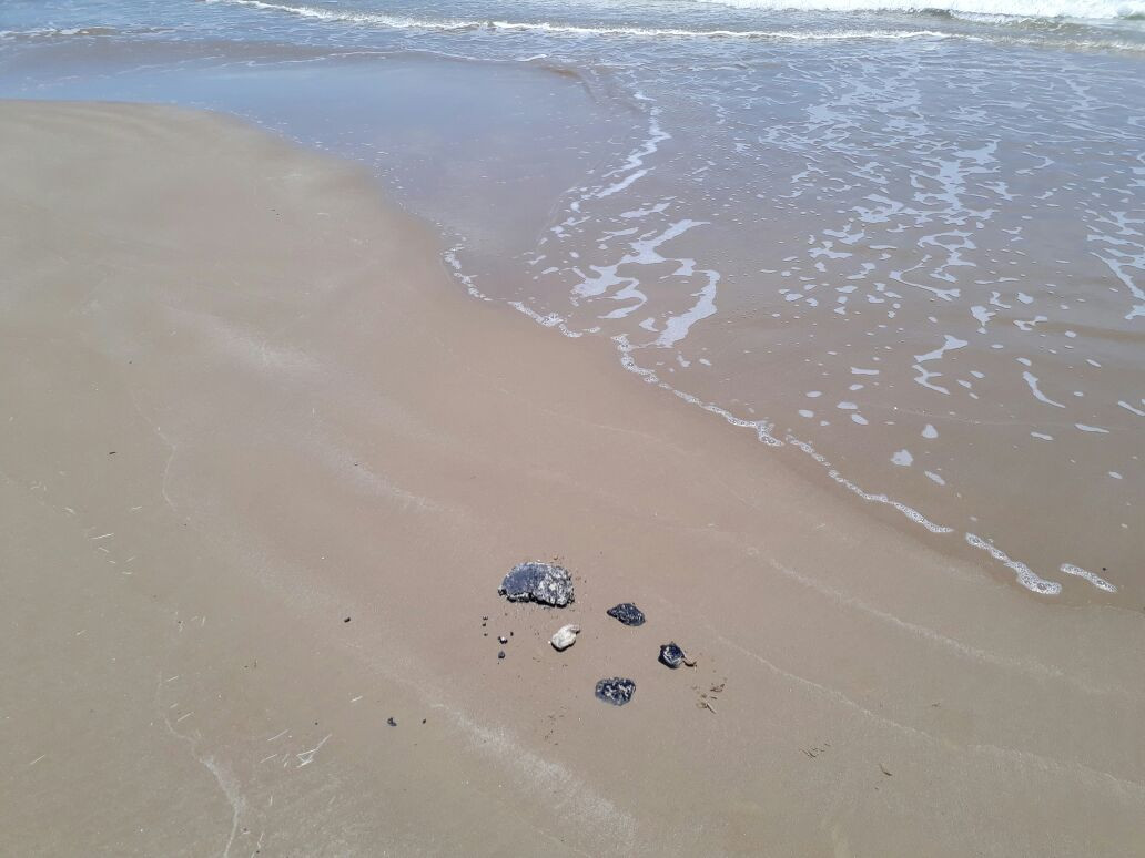 Lentitud en el proceso administrativo retrasa sanciones en temas ambientales