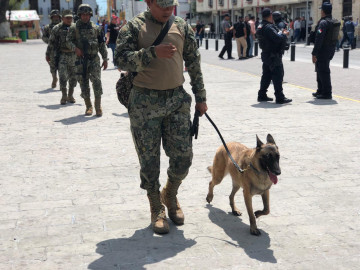 No encuentra nada “Samba” en la presidencia municipal 