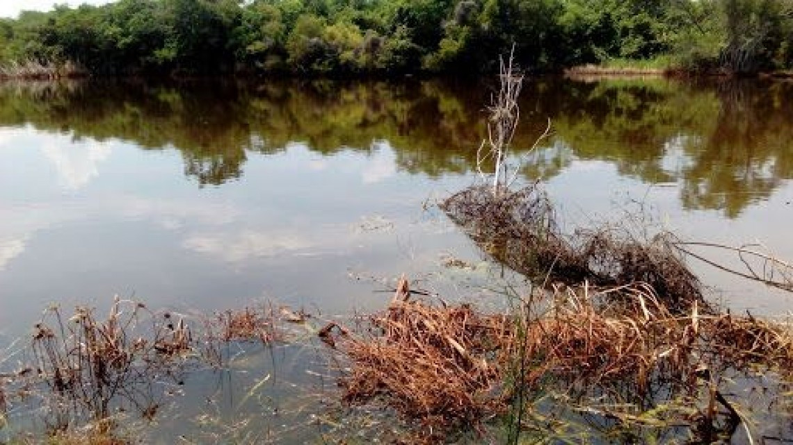 Fuga de combustible afecta tierra de siembra y presa de la zona ejidal