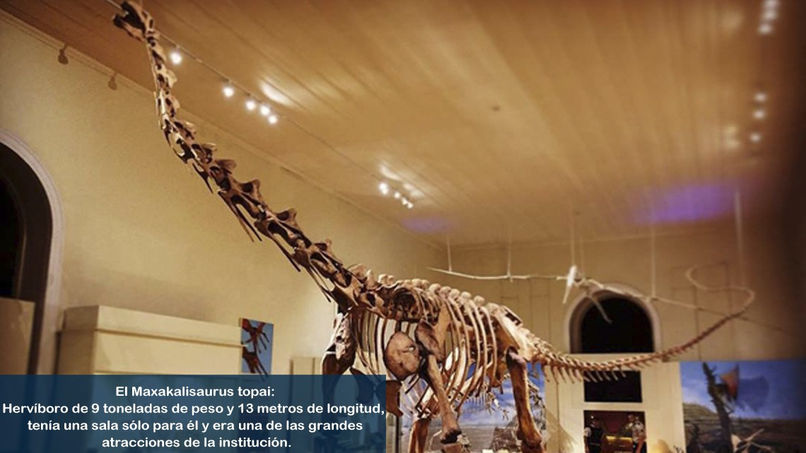 Las tesoros perdidos tras el incendio en el Museo Nacional de Brasil