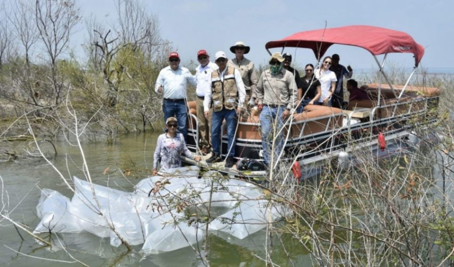 Siembran lobinas en la presa Vicente Guerrero para impulsar la pesca deportiva