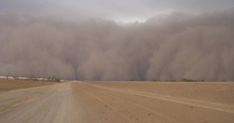 Densa tormenta de arena deja un saldo de 8 heridos 