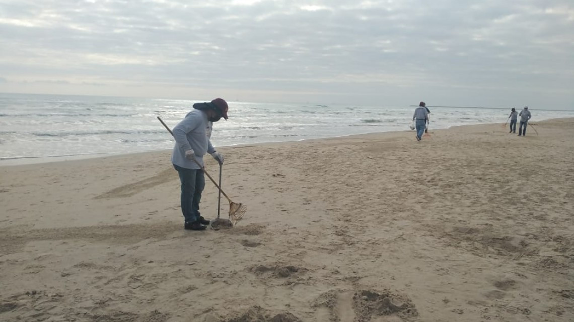 Retiran sargazo en Playa Miramar ante proximidad de la semana santa