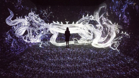 TeamLab, liberar el arte de las restricciones físicas