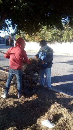Recibirá Gobierno de Reynosa árboles navideños para darles destino adecuado