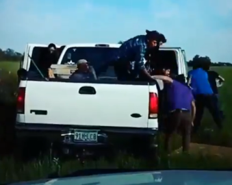 Captan a migrantes huyendo de la policía en Texas