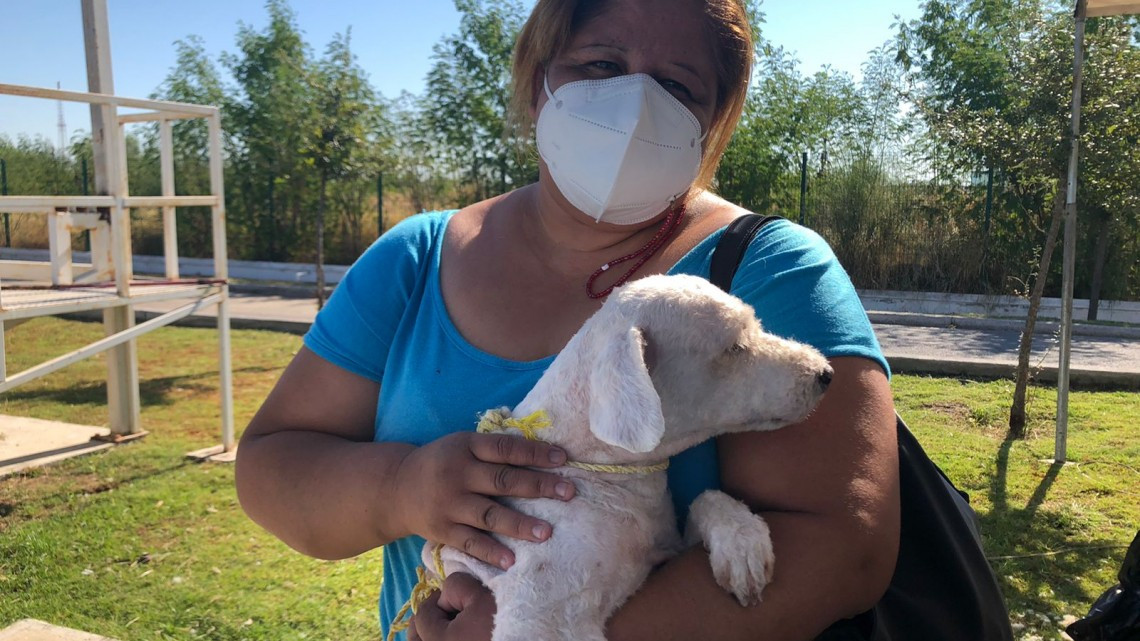 Gobierno Municipal de Nuevo Laredo realiza la primera "Campaña Itinerante de Salud Animal" 