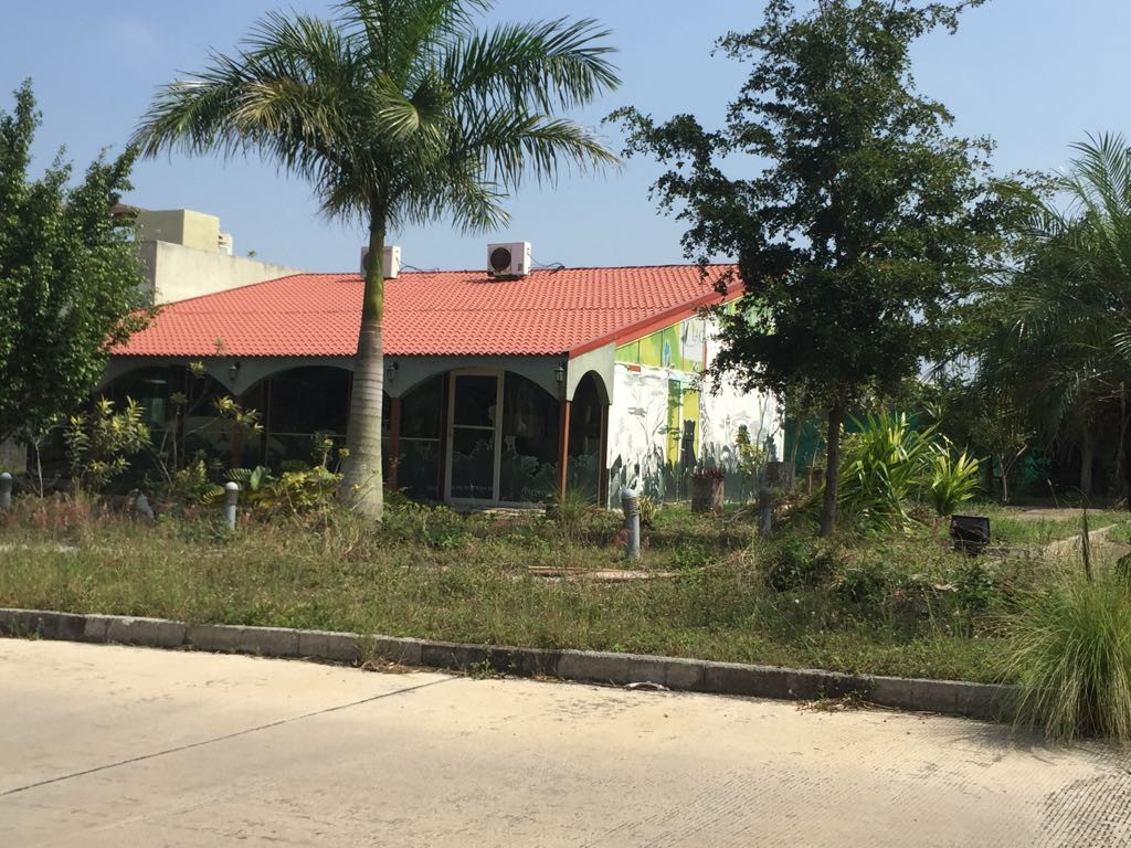 Casas abandonadas, problemas de salud por ser criaderos de moscos