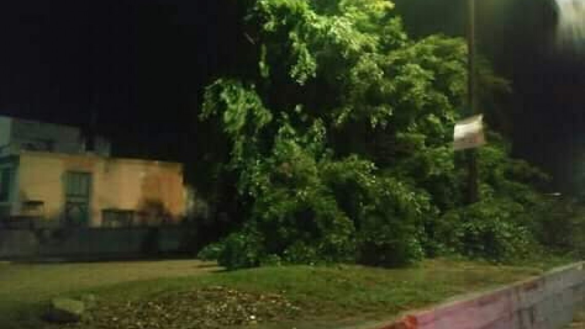 Frente frío no. 10 causa estragos en sur de Tamaulipas 