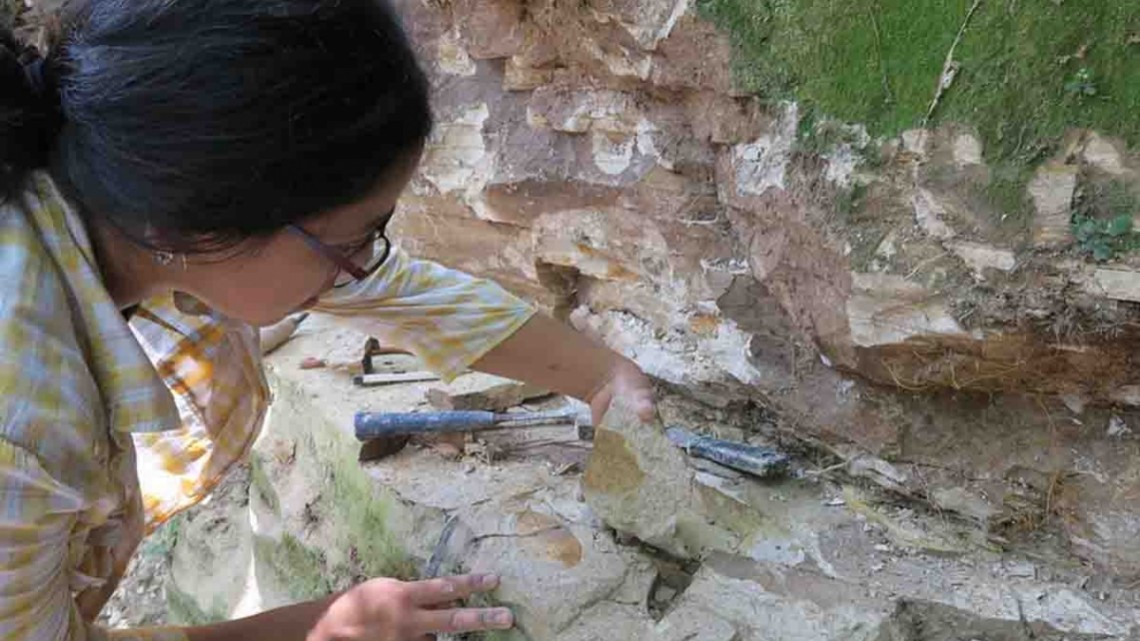 Descubren extraños fósiles de peces en El Salvador 