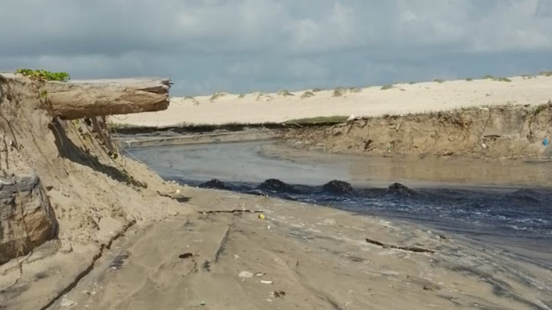 Atienden SEDUMA y Procuraduría Ambiental contaminación de empresa en Altamira